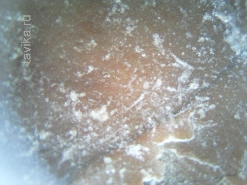 Мраморизированный известняк под микроскопом