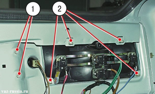 На фото изображены гайки которые крепят задний фонарь и фонарь освещения номерного знака к машине